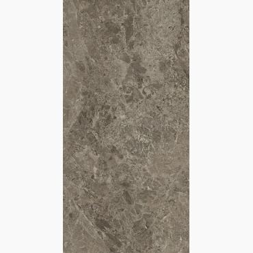 фото элемента Taupe Ret / Таупэ Рет 60x120